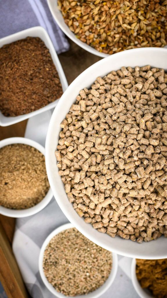 Food and Feed Production